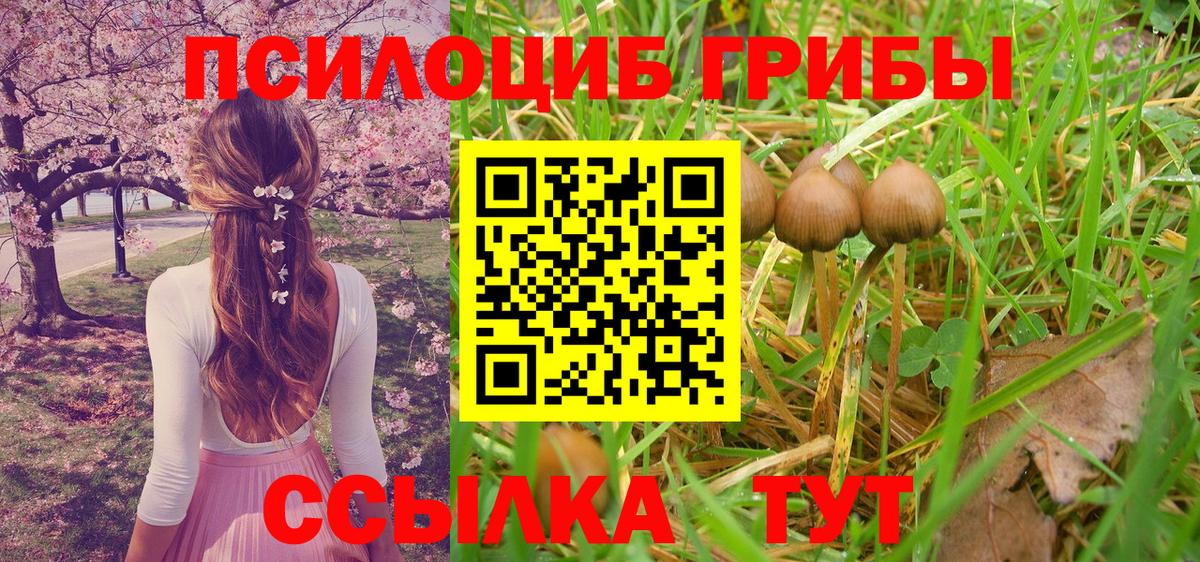 Галлюциногенные грибы Psilocybe  Вход с VPN  Спасск-Дальний 