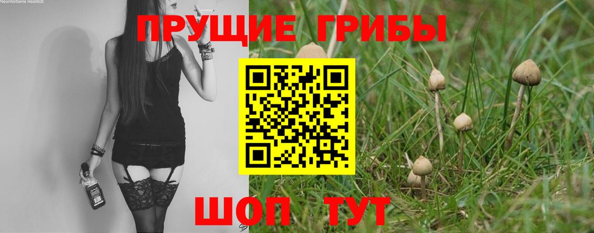 Псилоцибиновые грибы мицелий Спасск-Дальний